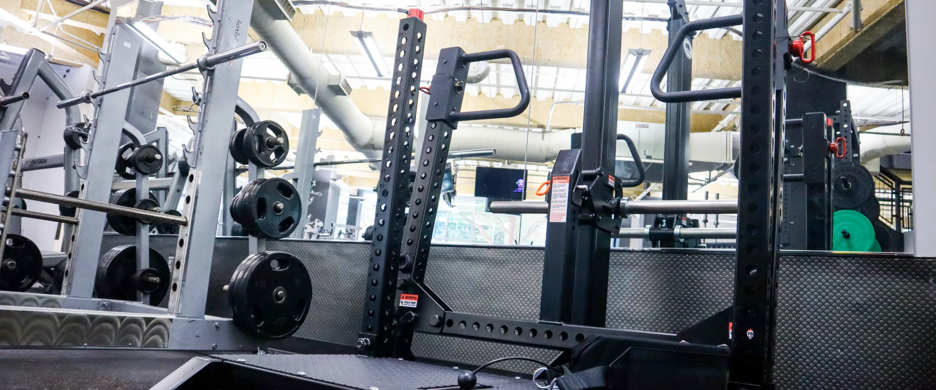 Rogue Belt Squat