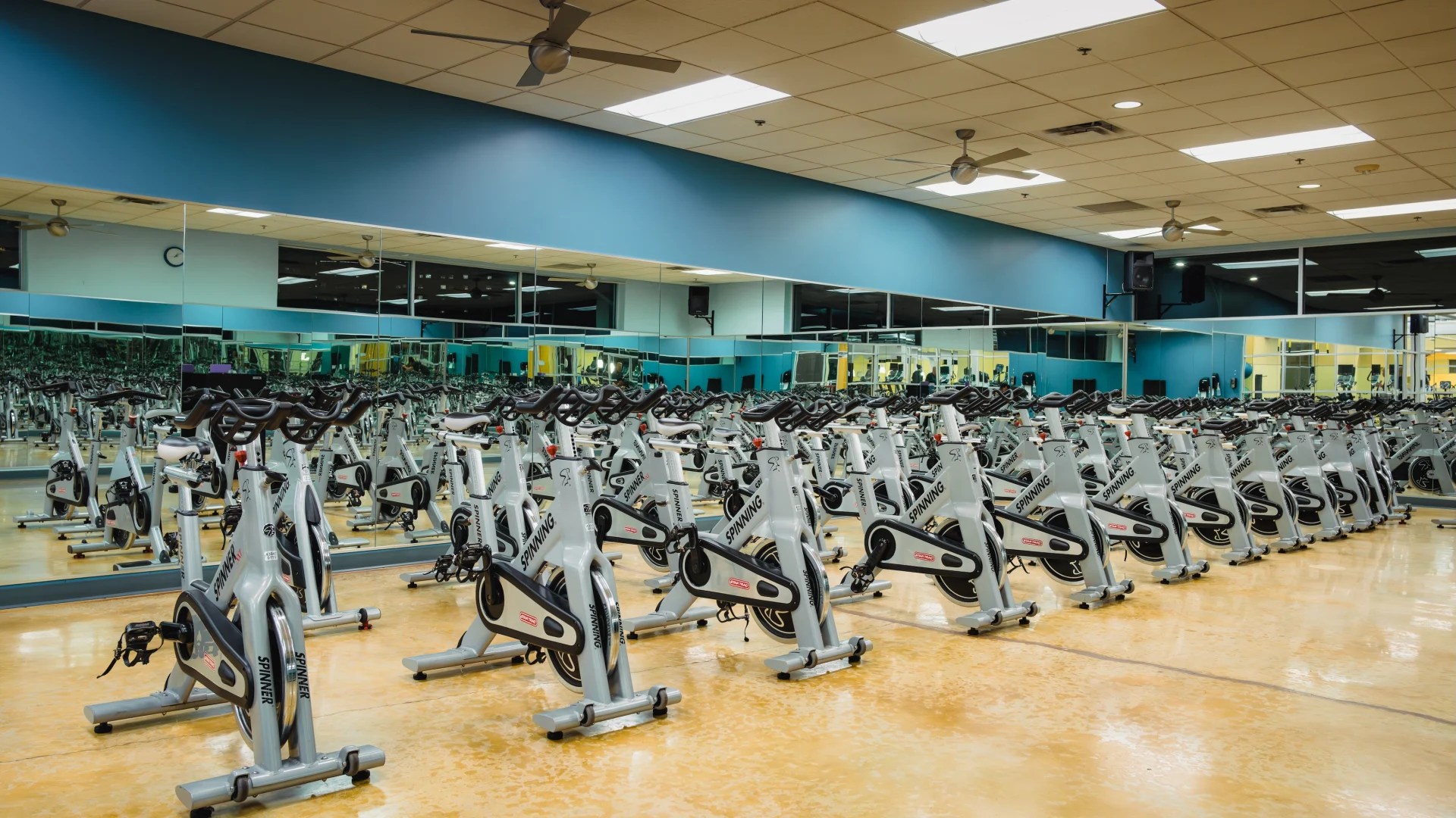 Gold's Gym San Antonio Medical Center | TX 78229 | Build Strength Gold's Gym San Antonio Medical Center | TX 78229 | Build Strength