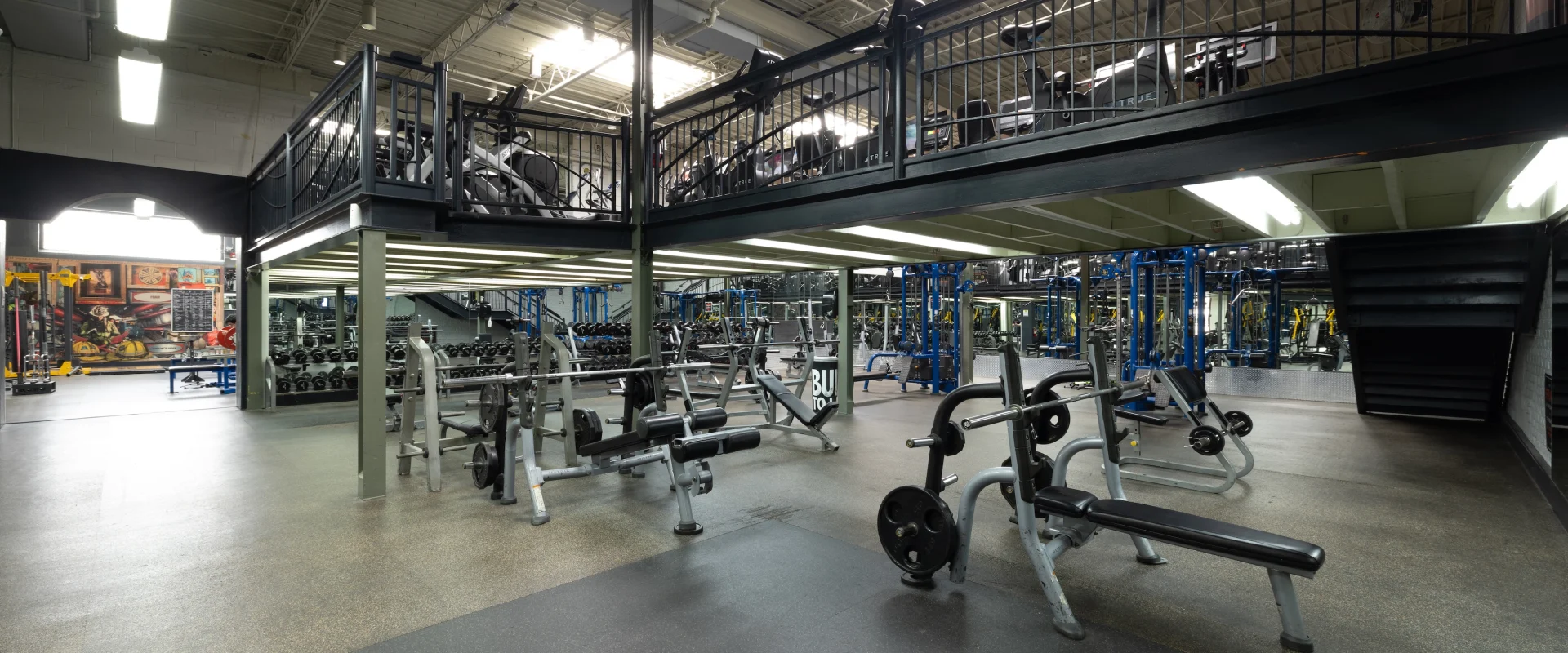 Free weights and benches
