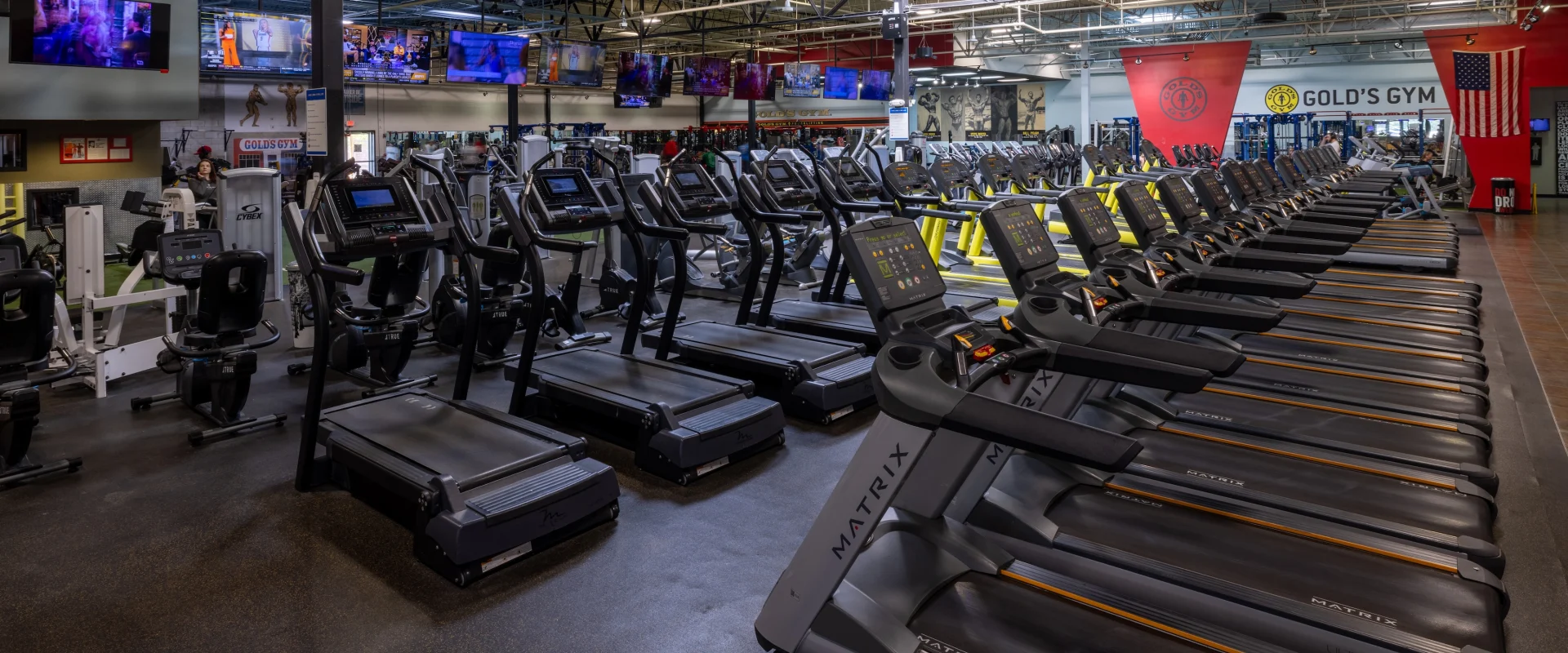 Cardio area at Willow Lawn including treadmills and cardio.
