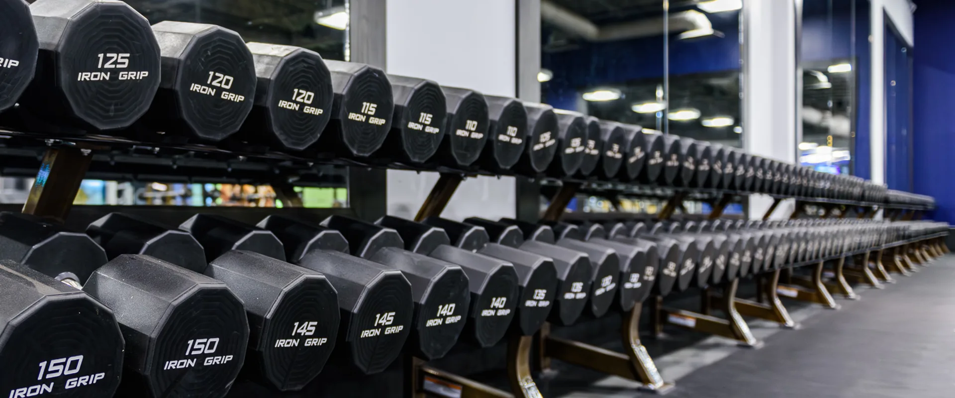 A row of heavy-duty hexagonal dumbbells, sits on a sleek black and bronze rack, positioned in front of a mirrored wall reflecting the gym’s strength training area.