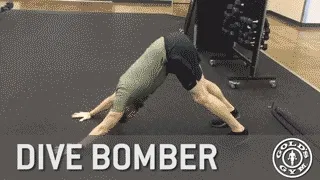 Dive Bomber Demonstration