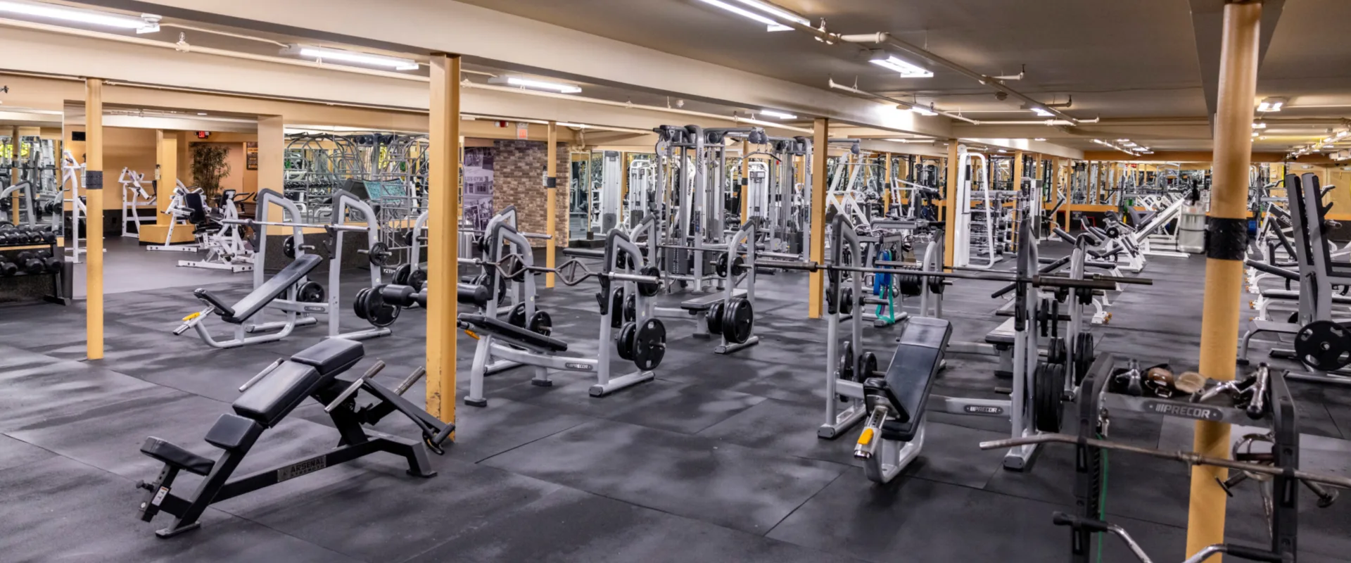 Free weights area at Gold’s Gym New York (East Northport), featuring an array of benches, barbells, and plate-loaded machines. The space includes black rubber flooring, mirrored walls for form checks, and equipment arranged for optimal workout flow. Yellow support columns and overhead lighting create an open, well-lit training environment.