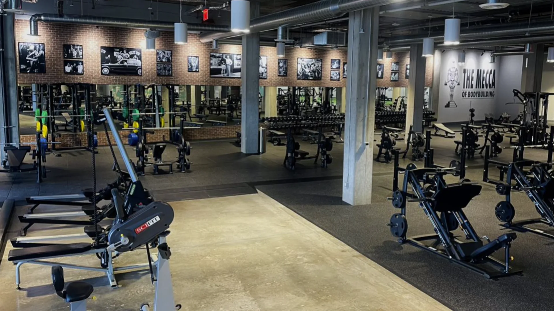 Free Weight and Strength Area