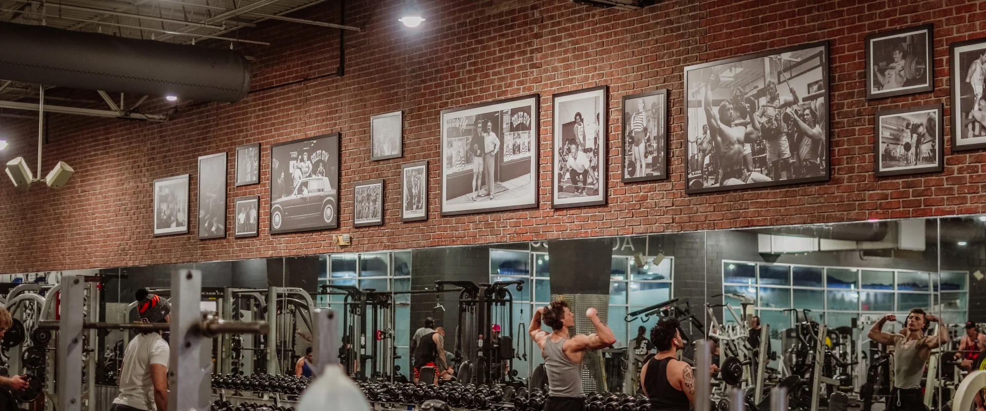 Dumbbell area at Gold’s Gym Tennessee, Lee Highway, featuring an extensive selection of dumbbells neatly arranged on racks beneath a mirrored wall. The red brick wall above displays a collection of framed historical photographs and iconic moments from Gold’s Gym history. The area is lit by overhead industrial lighting, creating a vibrant and active atmosphere. Reflections in the mirrors showcase additional gym equipment and members working out in the spacious facility.