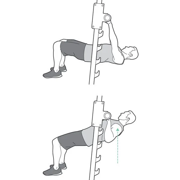 inverted row