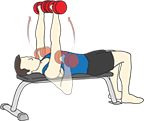 chestpress