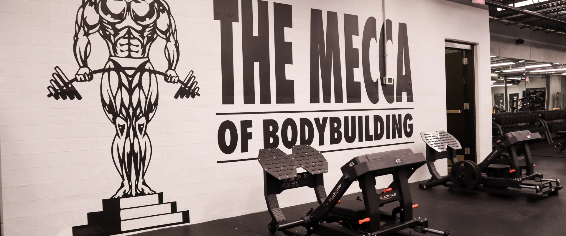 Free Weight and Strength Area