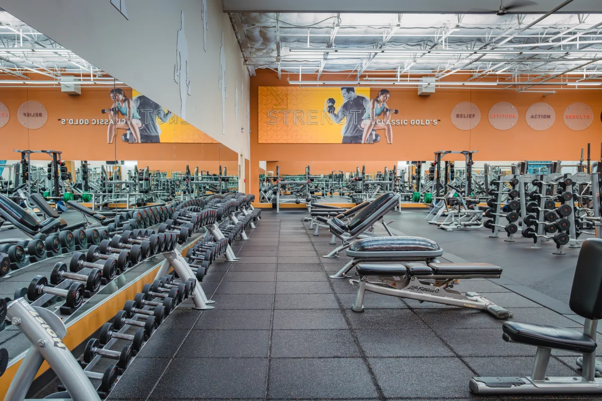 その他 Gold gym Gold's Gym Austin Burnet | Austin Burnet, TX 78757 | Build