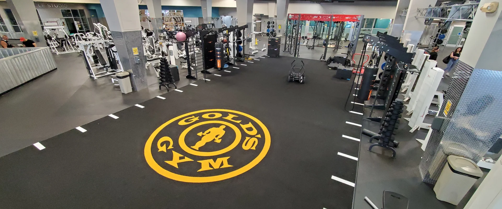 NEW Turf Area