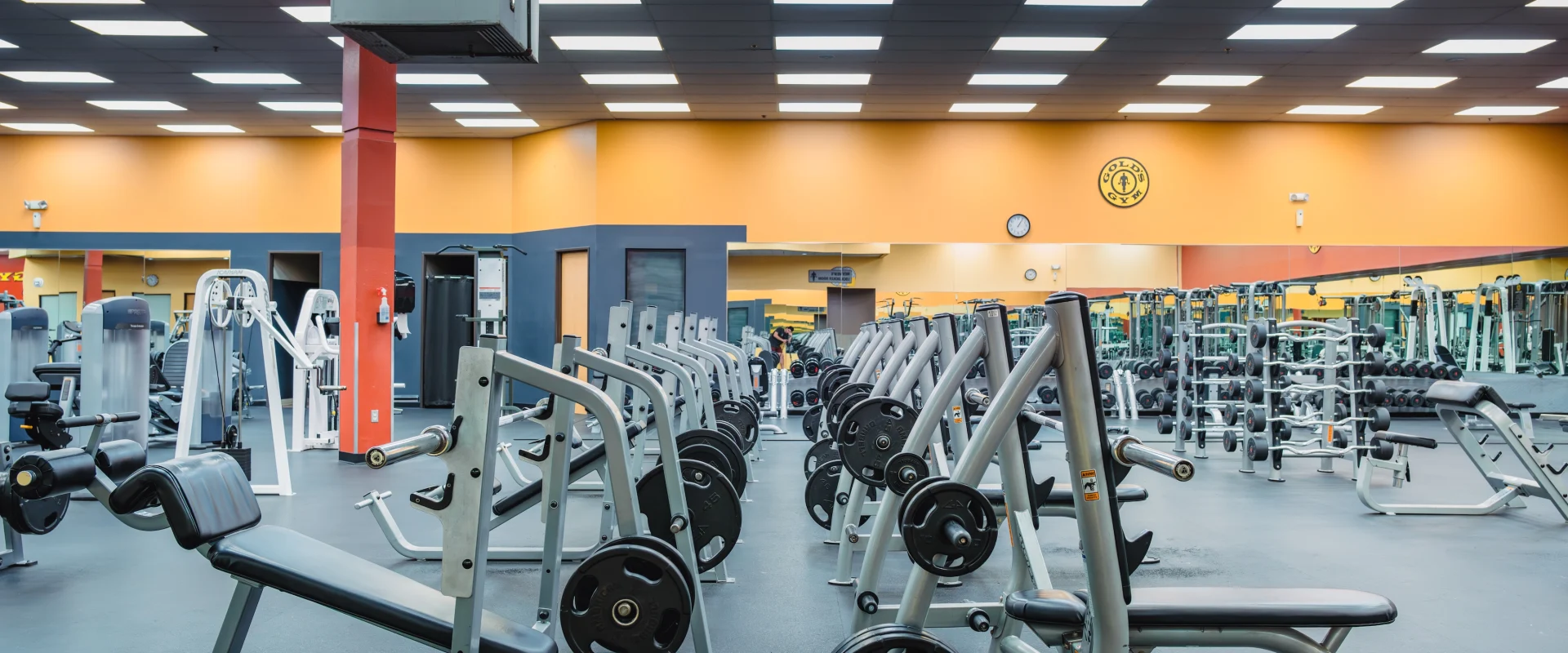 A spacious, well-lit gym with rows of weightlifting benches and equipment. The orange walls and mirrored back create a vibrant, energetic atmosphere.