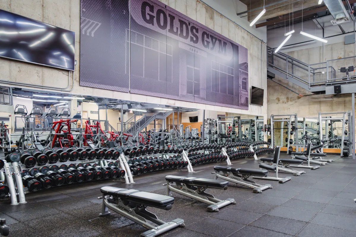 Gold's Gym Downtown | Austin, TX 78701 | Energy Meets Effort