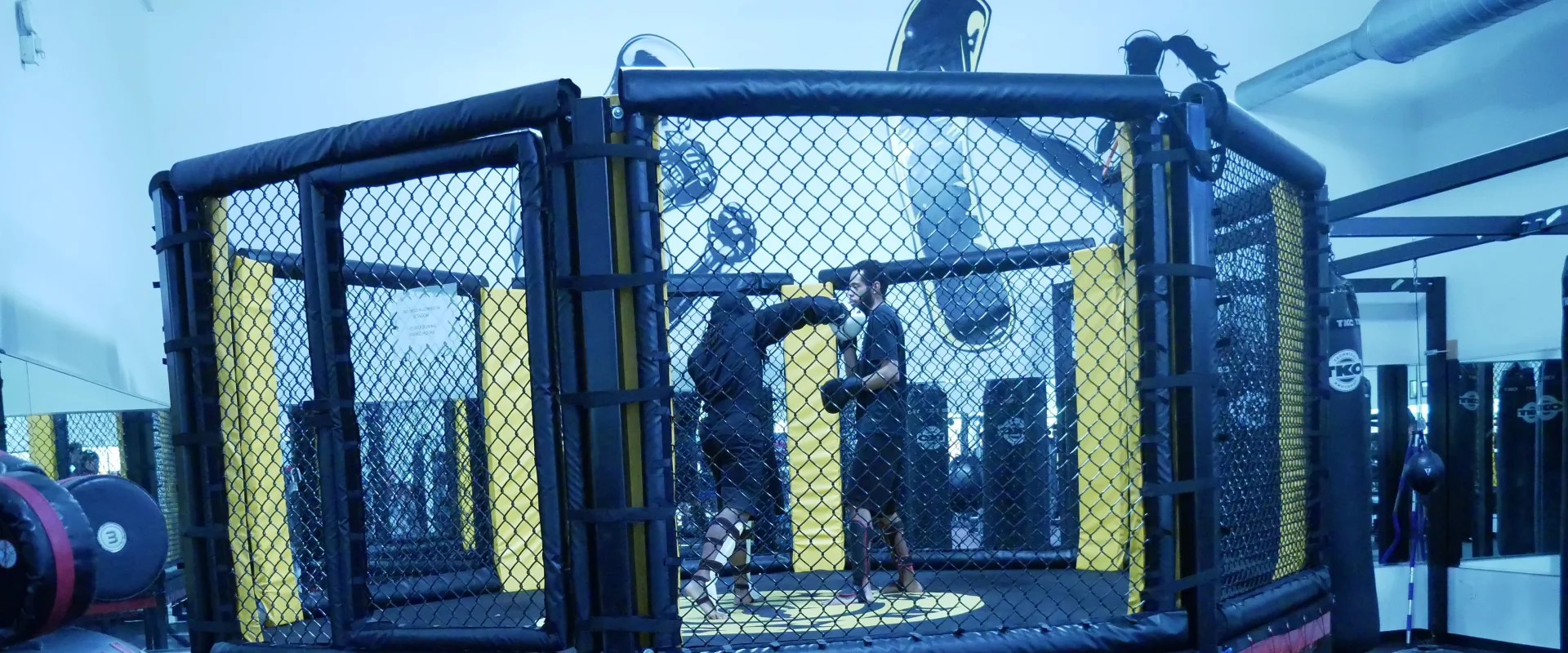 Join us at Gold's Gym Detroit for a unique fitness experience in the octagon cage.