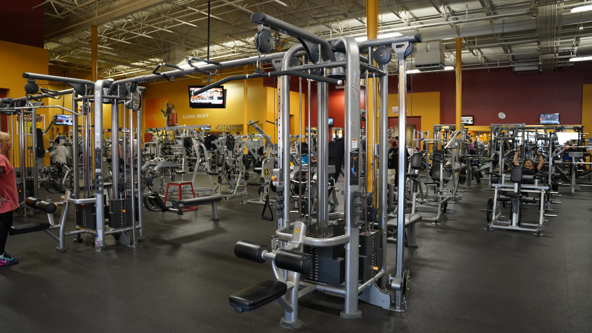Free Weight and Motion Cables
