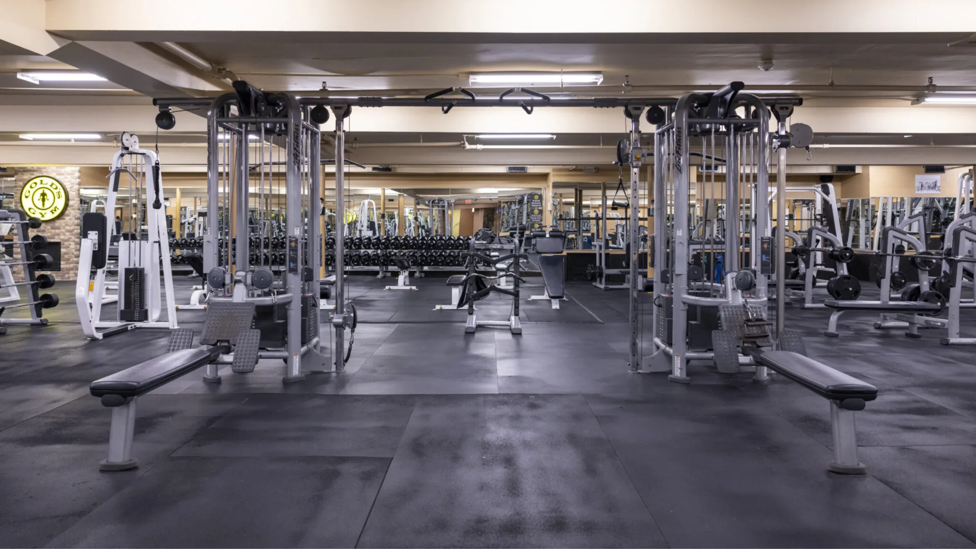 Free weights area at Gold’s Gym New York (East Northport), featuring cable machines, benches, and a full rack of dumbbells. The space includes rubber flooring, mirrored walls for form checks, and strategically placed equipment for efficient workouts. The gym's signature logo is visible, adding a classic touch to the modern setup.