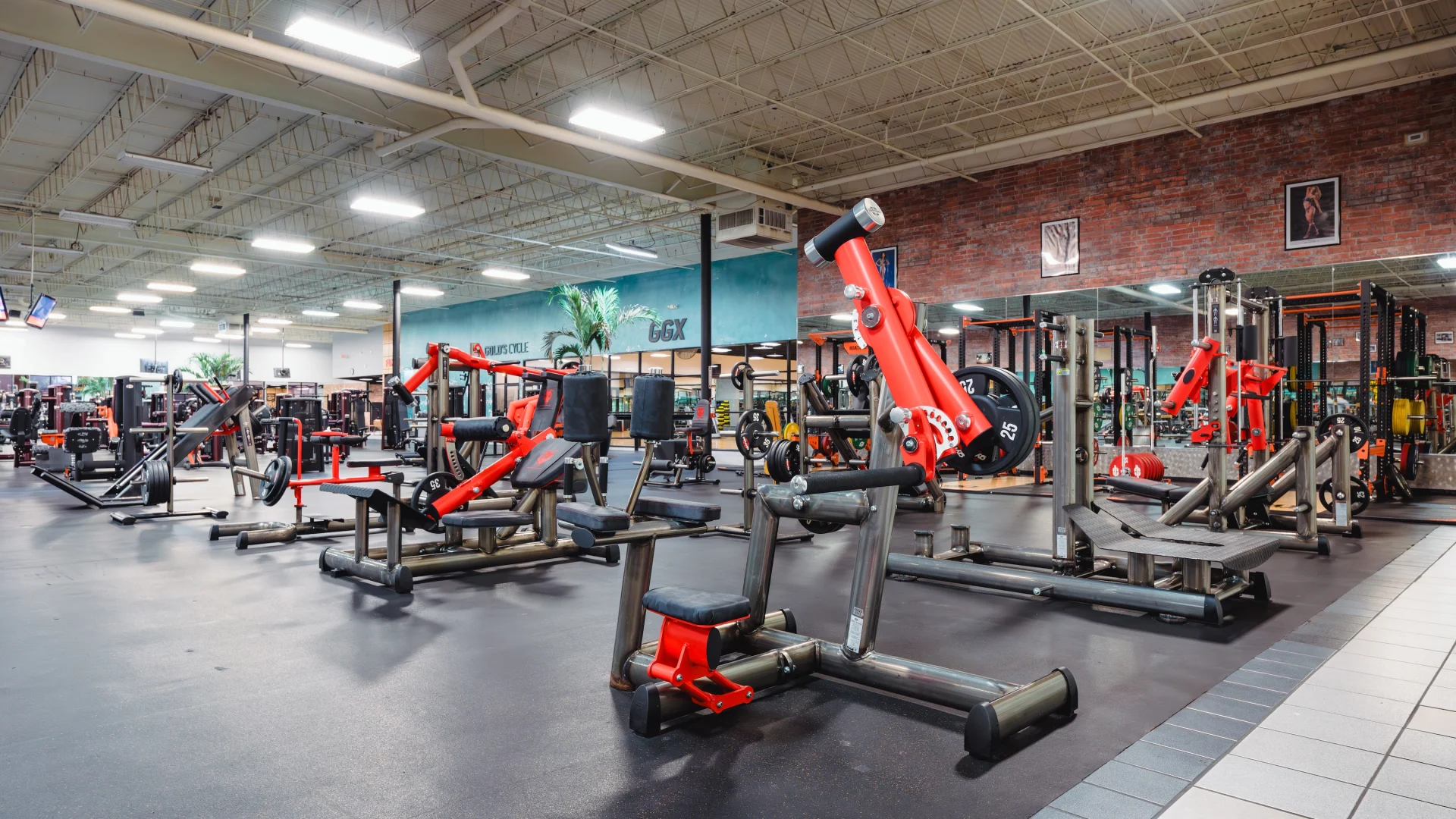 GOLD'S GYM × IRON NERVE Gold's Gym Crossroads | San Antonio, TX 78201 | Sweat With Purpose