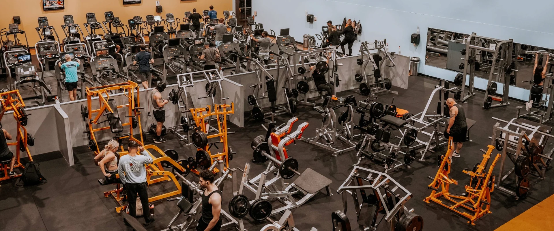 Gold's Gym Jackson, Tennessee, free weight area featuring plate-loaded machines, squat racks, and benches. Gym members are engaged in strength training with barbells and dumbbells. The space includes a separate cardio section with treadmills and ellipticals, a mirrored wall, and a blue accent wall.
