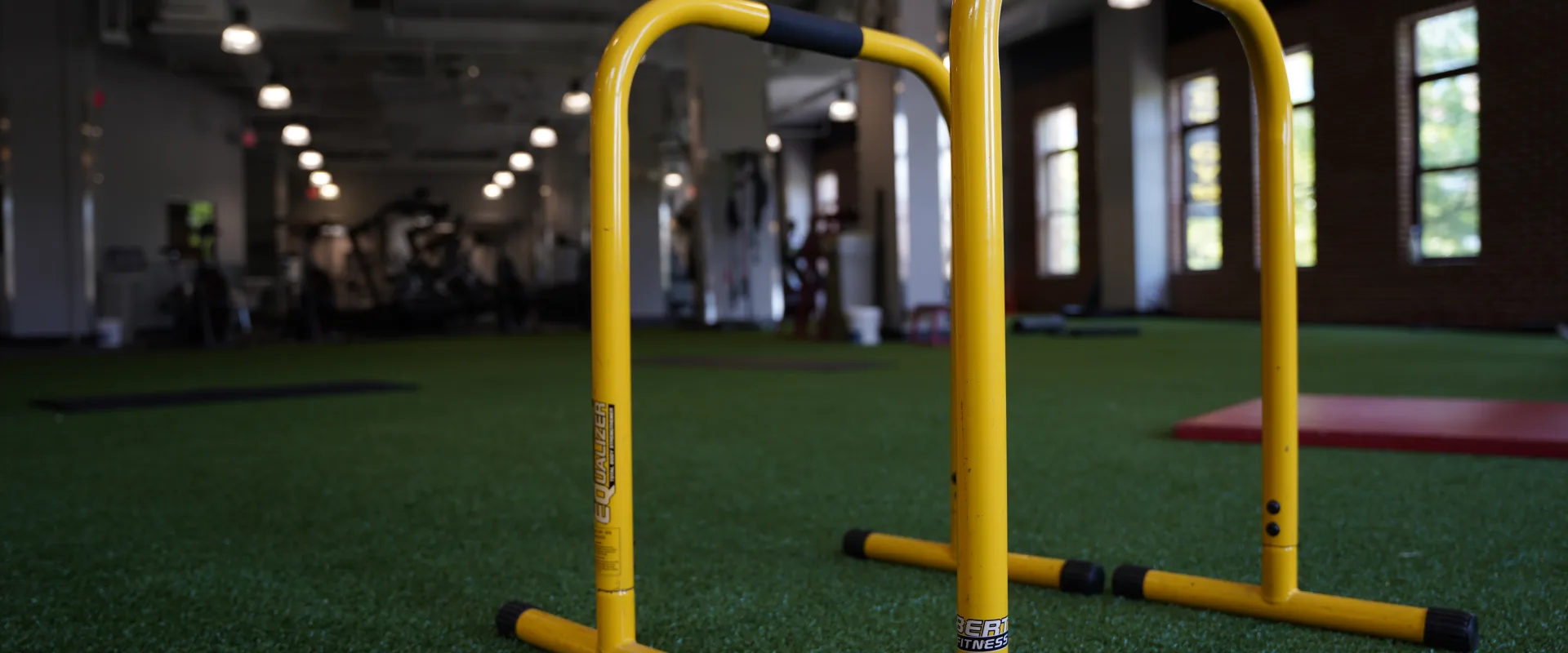 Functional Turf Area