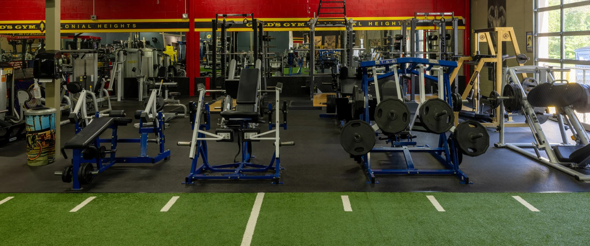 Leg area and Squat racks