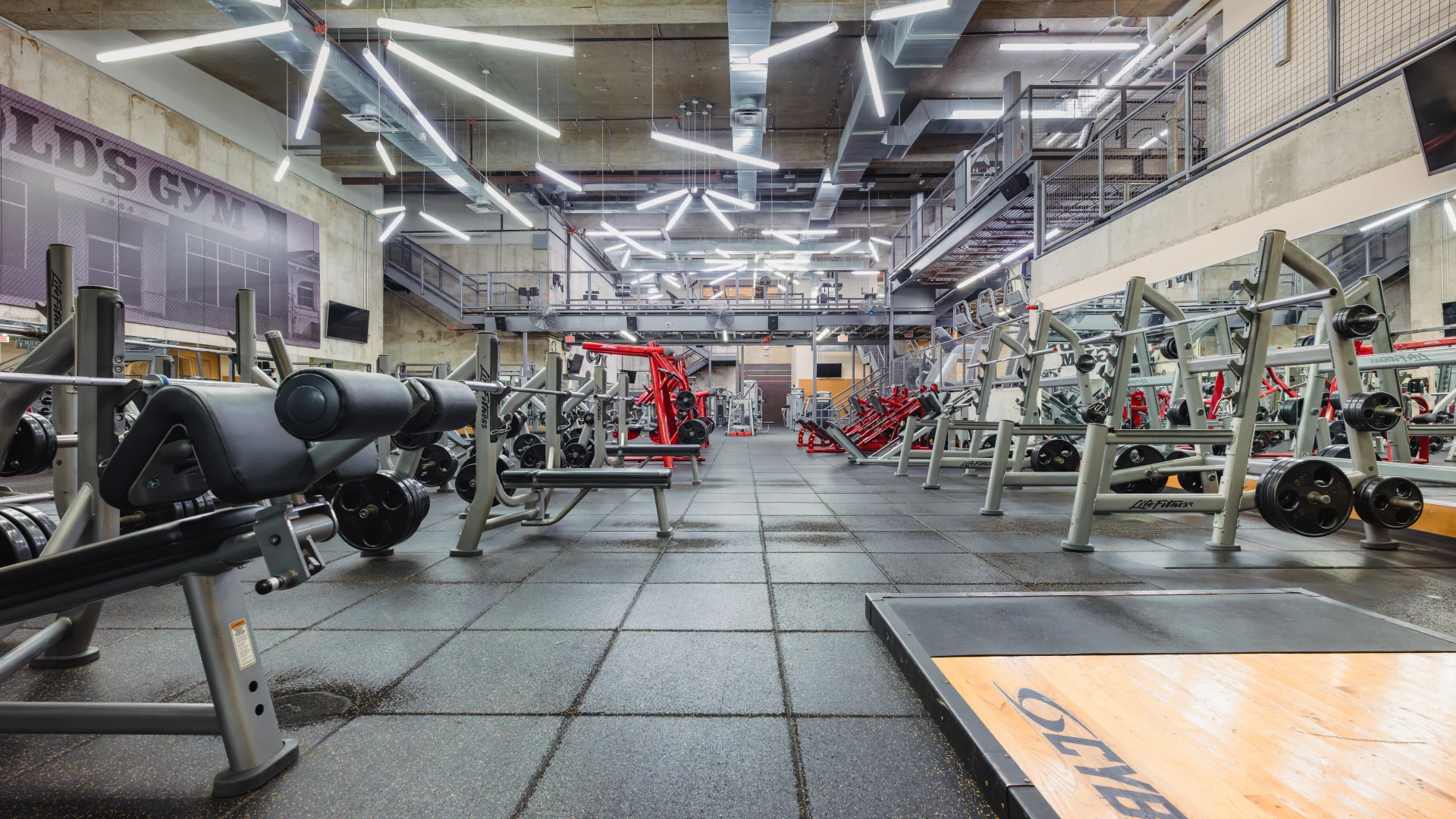 Free weights area at Gold's Gym Austin (Downtown) showcasing weightlifting benches, squat racks, plate-loaded machines and industrial-style lighting in a spacious gym setting.