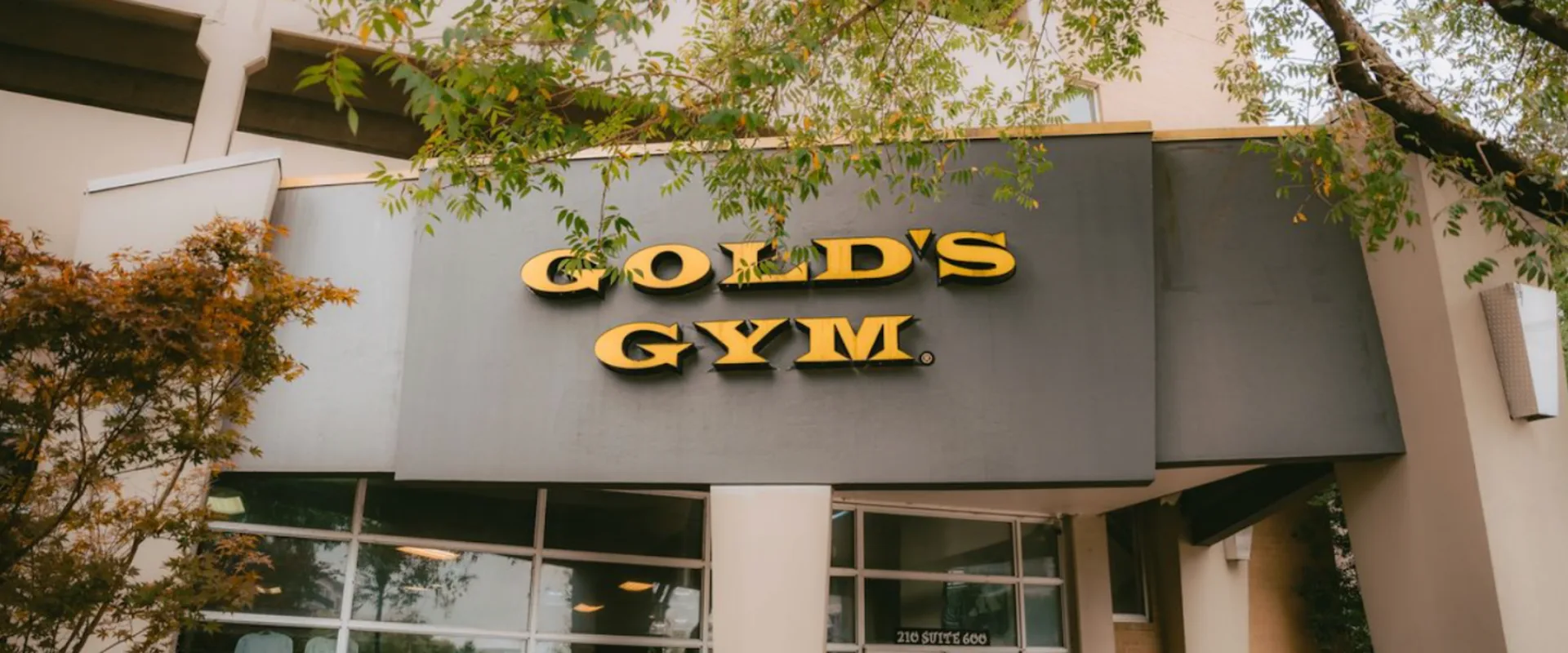 Exterior of Gold’s Gym Chattanooga with yellow signage above glass windows surrounded by trees and greenery.