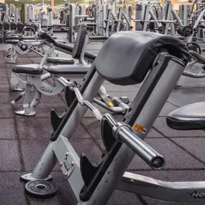 Gold's Gym San Antonio Tezel and Guilbeau