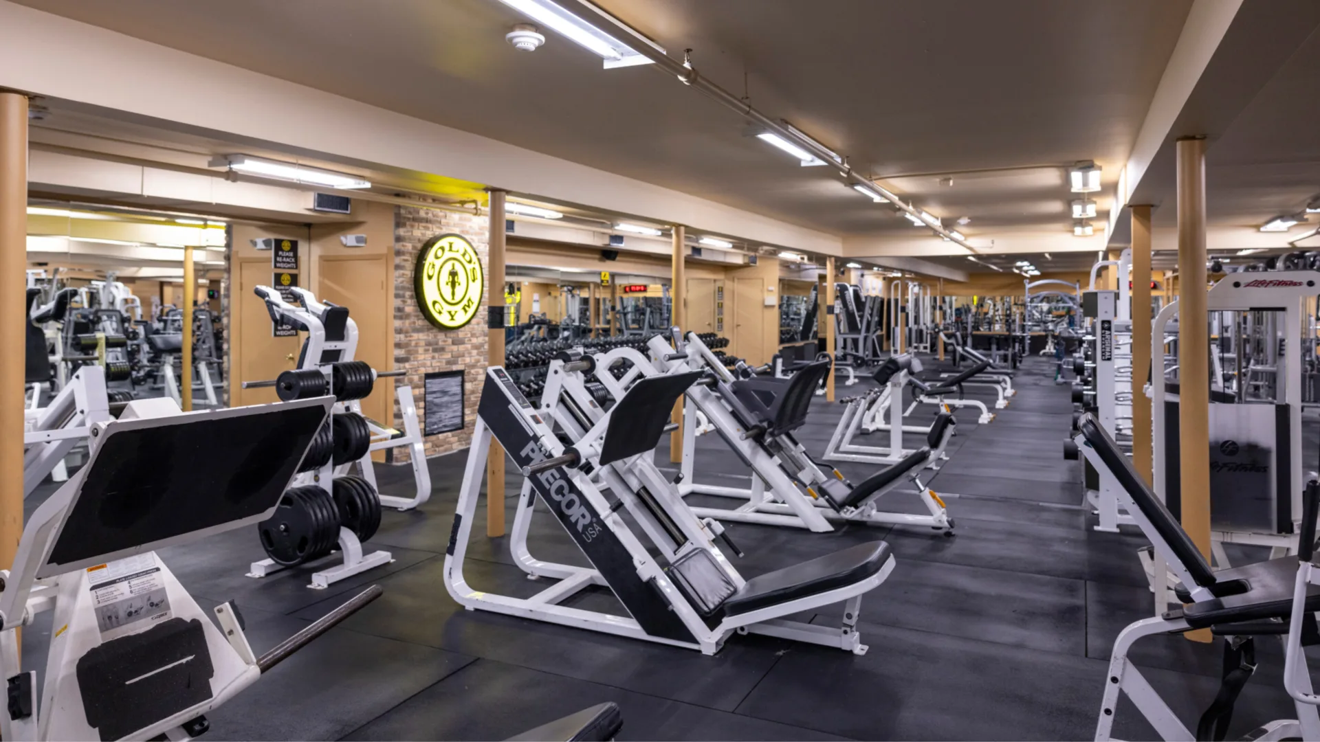 Plate-loaded machines at Gold’s Gym in East Northport, New York, arranged in rows on rubber flooring with black weight plates stacked nearby. The space features mirrored walls, bright overhead lighting, and a prominent Gold’s Gym logo mounted on an exposed brick accent wall. Benches and additional strength training equipment are visible throughout the gym.