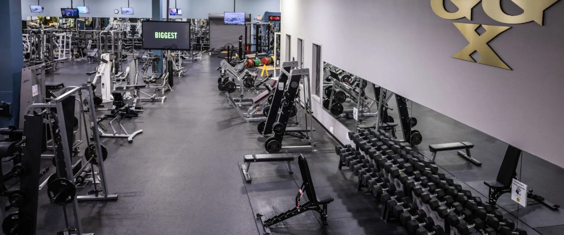 A free weights area at Gold’s Gym in Woodbridge (Lake Ridge) features multiple rows of black dumbbells neatly arranged on racks against a mirrored wall. Adjustable benches are positioned nearby for strength training. The gym floor is covered in black rubberized material. A "GGX" sign is mounted on the wall above the mirrors. In the background, weight machines, barbells, and additional benches extend into the gym, with mounted TV screens overhead. The space is well-lit, with bright overhead lighting reflecting off the mirrors.