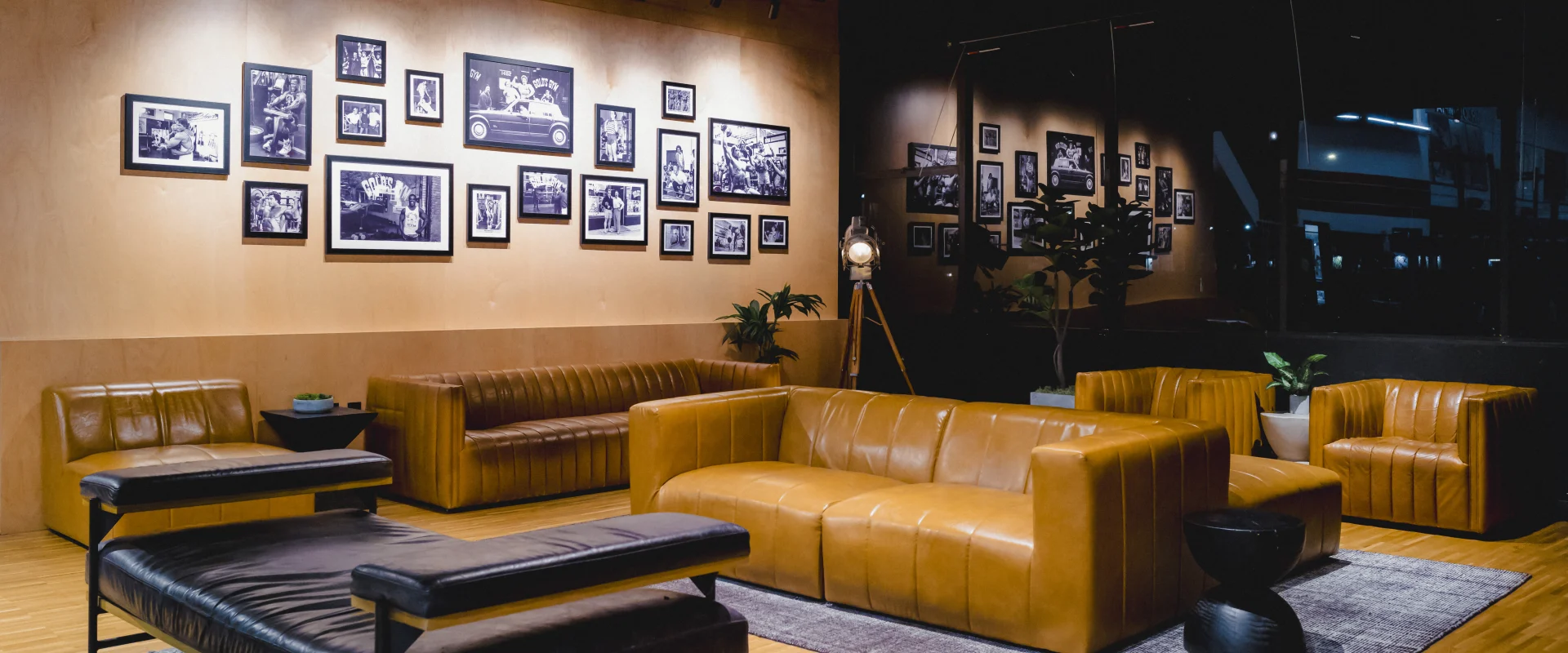 A dimly lit lounge area with leather couches, accent chairs, side tables with greenery, gray carpet on wooden floors, and vintage Gold's Gym photos displayed on the wall