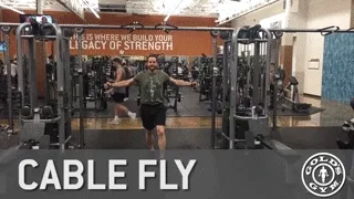 Cable Fly Demonstration