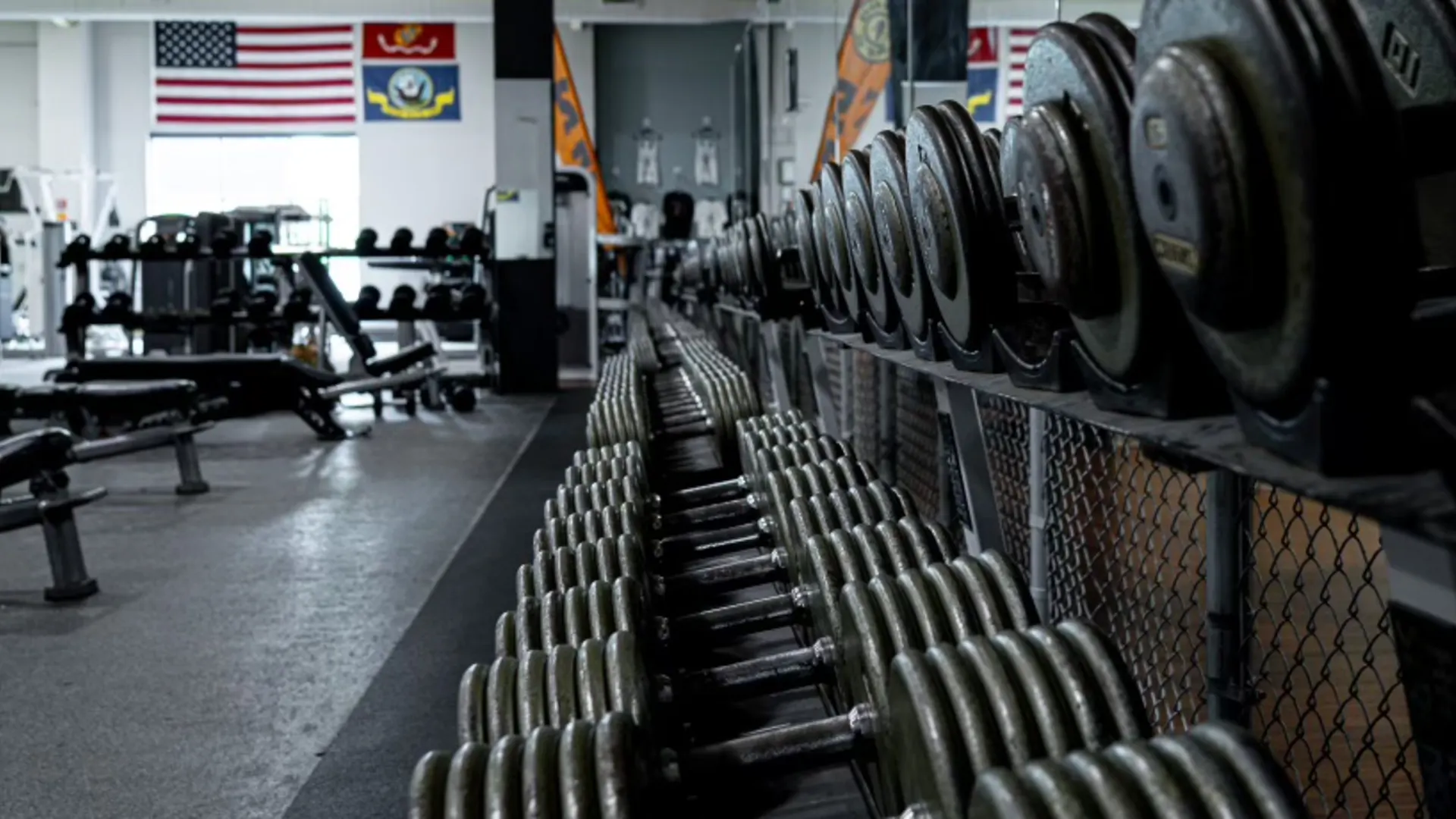 Iron Dumbells