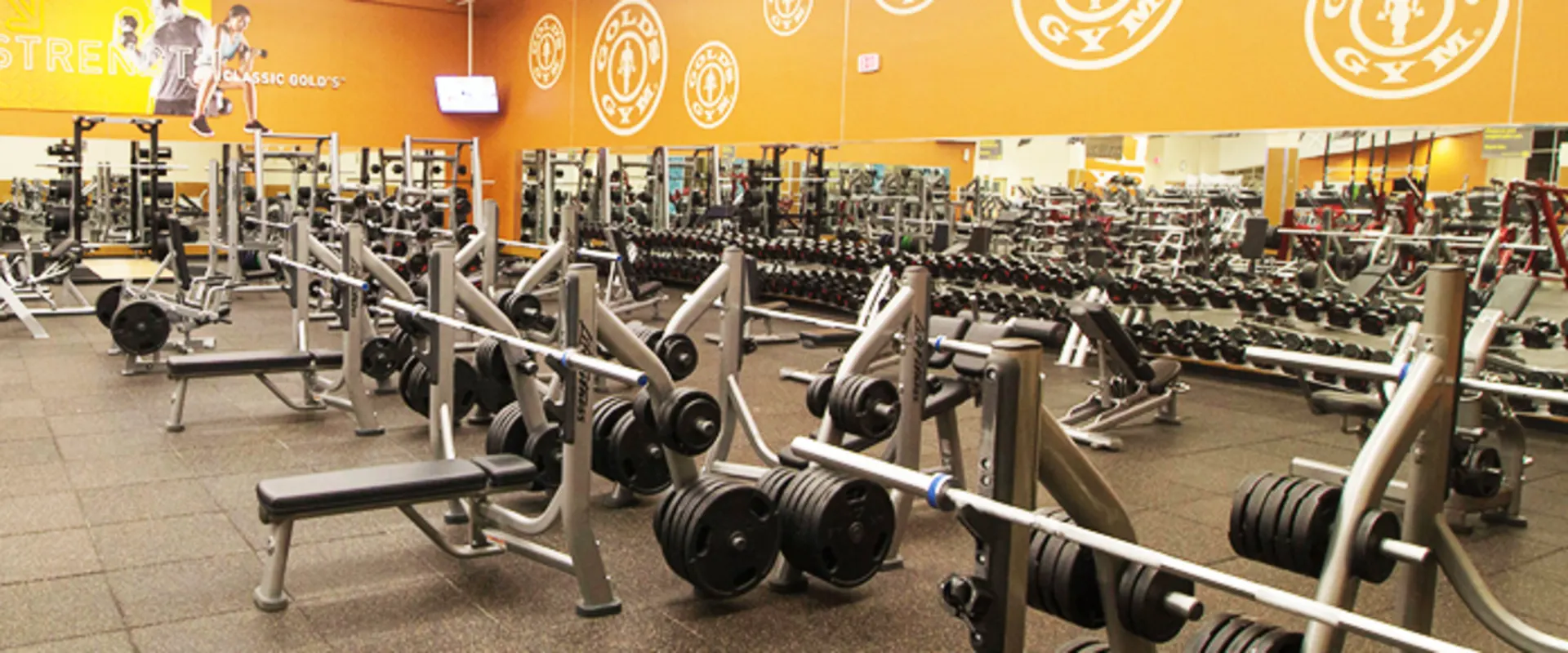 Gold’s Gym San Antonio Bulverde (Gold Level)