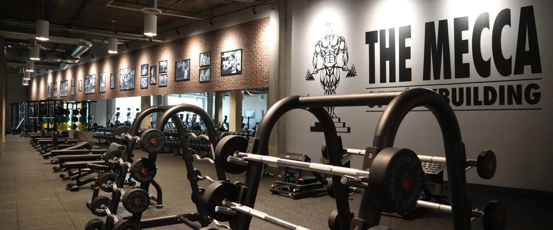 Free Weight and Strength Area