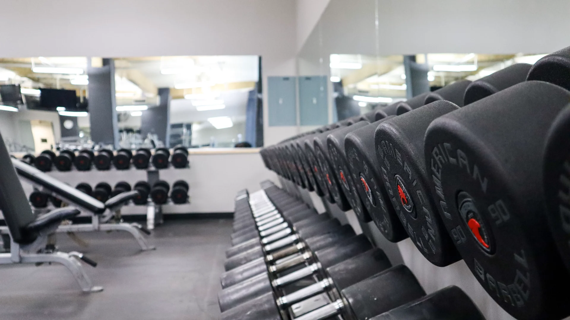 Free Weight and Strength Area