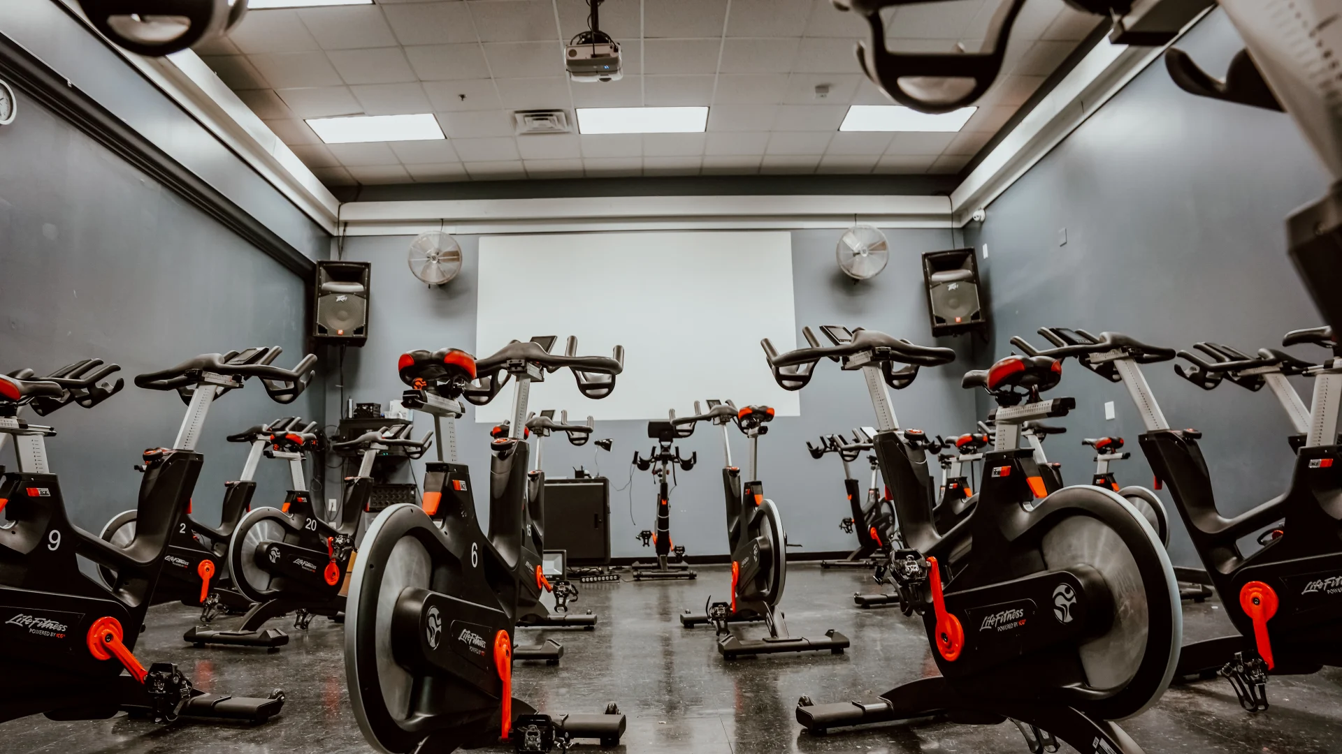 GOLD'S GYM × IRON NERVE Gold's Gym Murfreesboro | Murfreesboro, TN 37129 | Strength & Fitness