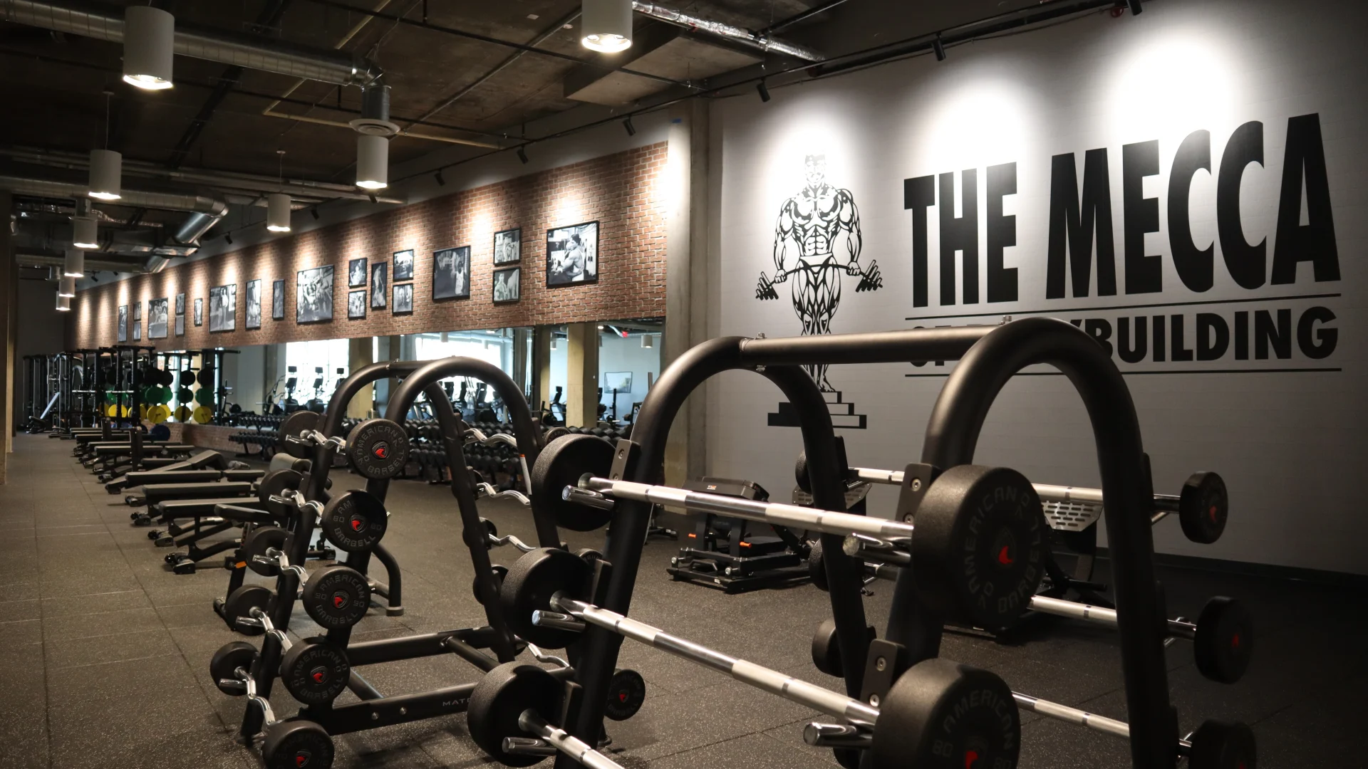 Free Weight and Strength Area