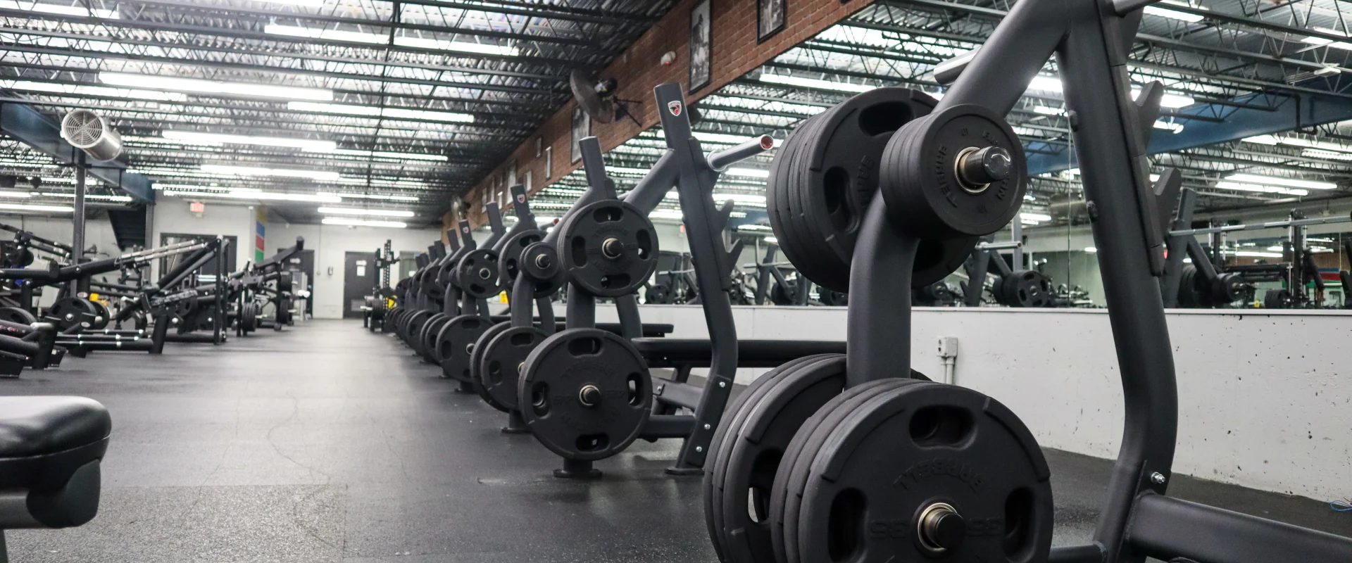 Free Weight and Strength Area