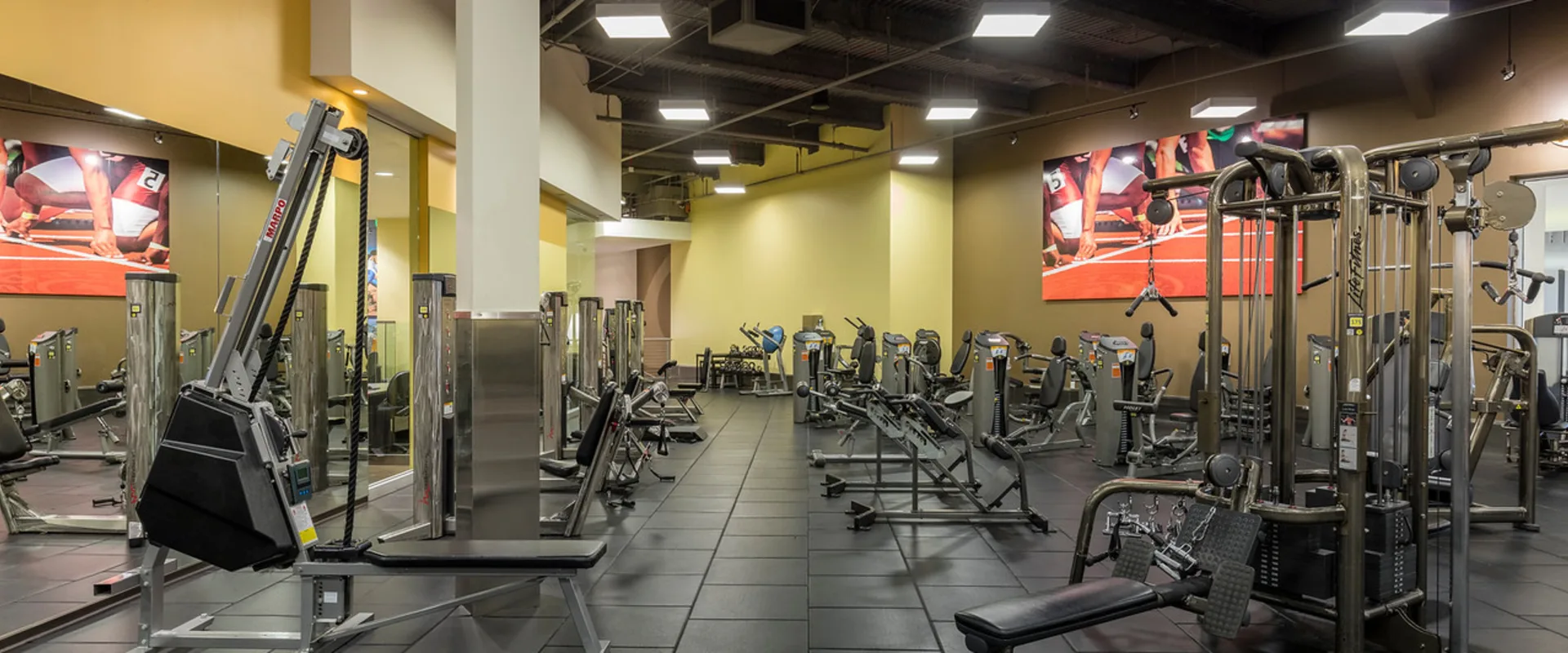 Gold's Gym Arcadia weightlifting area