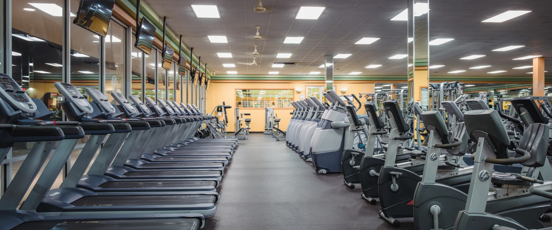 A spacious gym with rows of treadmills on the left and elliptical machines on the right, under bright ceiling lights. The atmosphere is clean and orderly.