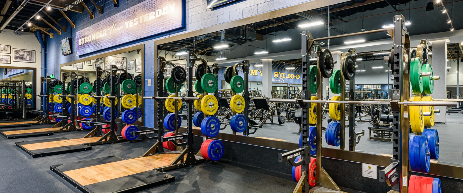 The Olympic lifting area at Gold’s Gym Cerritos features multiple squat racks with wooden lifting platforms and bumper plates in blue, green, red, and yellow. A large mirrored wall runs behind the racks, reflecting the space. A ‘Stronger Than Yesterday’ sign is mounted on the blue accent wall, with overhead TVs displaying gym content.