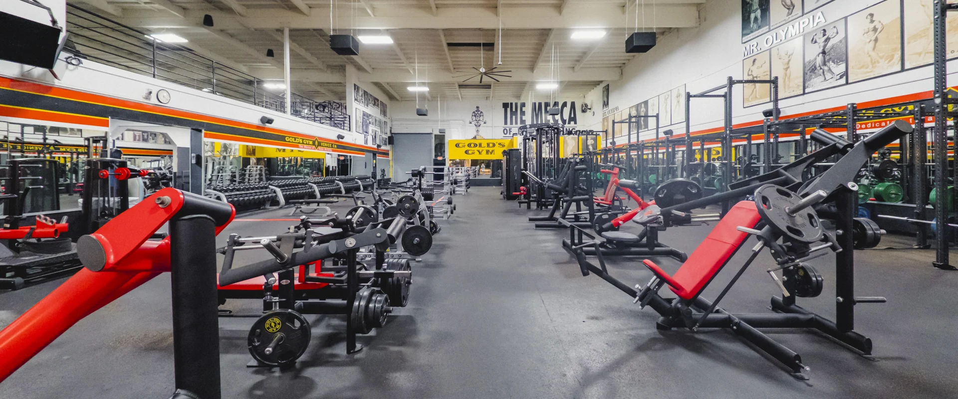 Gold's Gym free weights area featuring benches, mirrors, and fitness-themed wall artwork