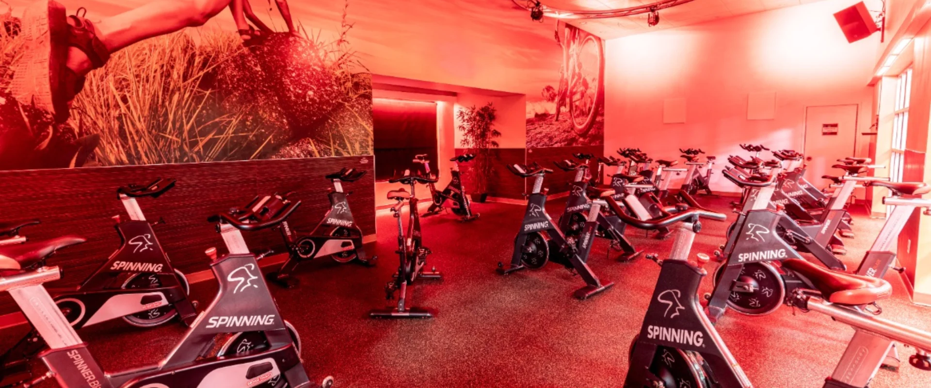Group cycle studio at Gold’s Gym in East Northport, New York, featuring rows of Spinner bikes arranged on rubber flooring. The room is illuminated with dynamic red lighting, creating an energetic atmosphere, and features large wall murals of outdoor cycling scenes. An overhead circular lighting rig adds to the immersive environment, designed for high-intensity spin classes.