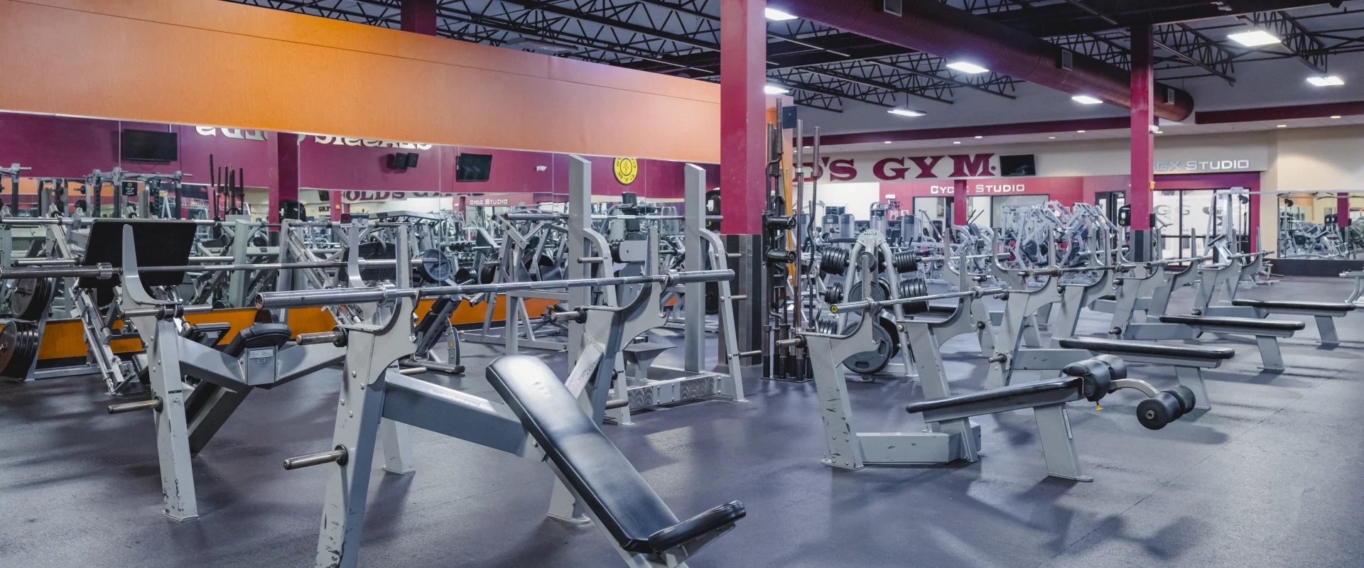 An expansive layout showcasing numerous strength machines in a large open space for effective workouts