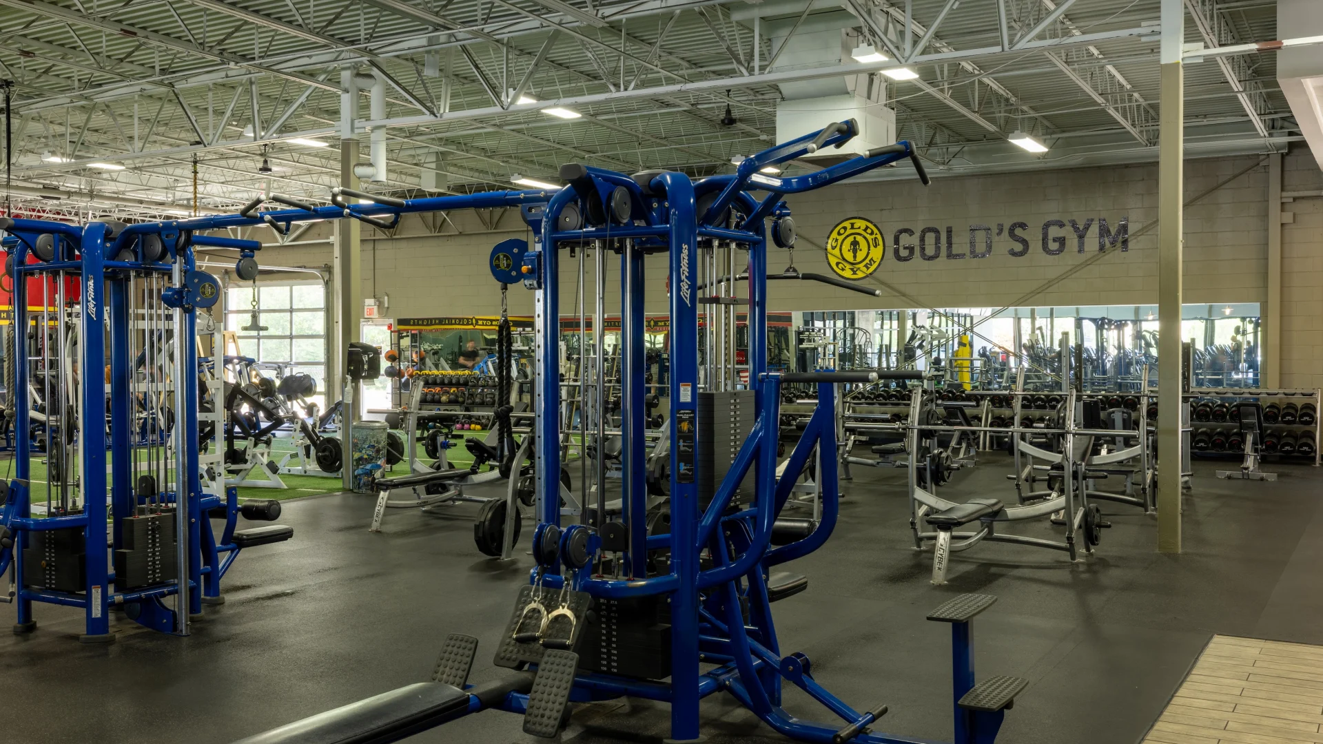 Jungle gym and free weights