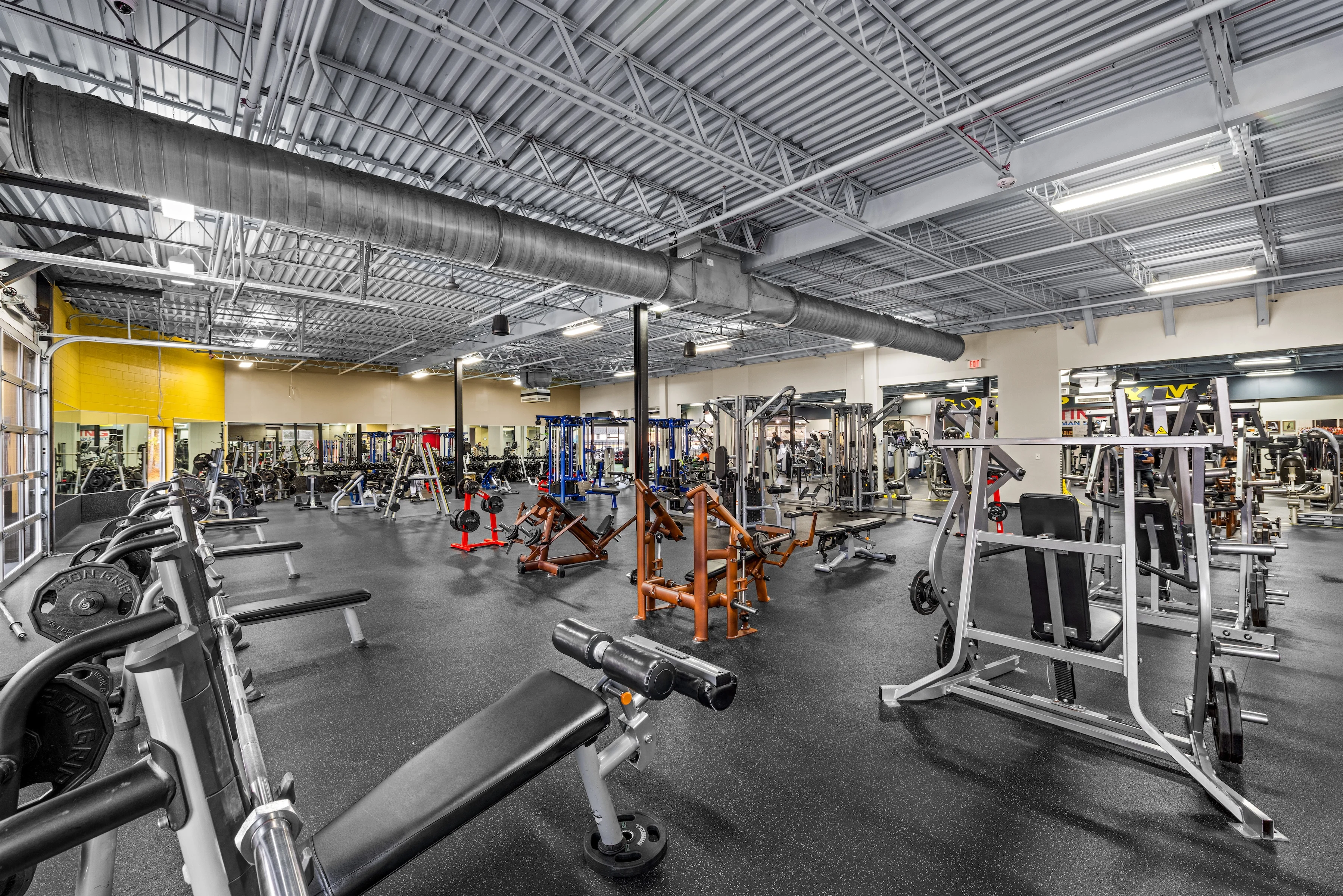 アメリカ限定　Gold gym Gold's Gym Meadowbrook | Meadowbrook, VA 23234 | Stronger Starts Here