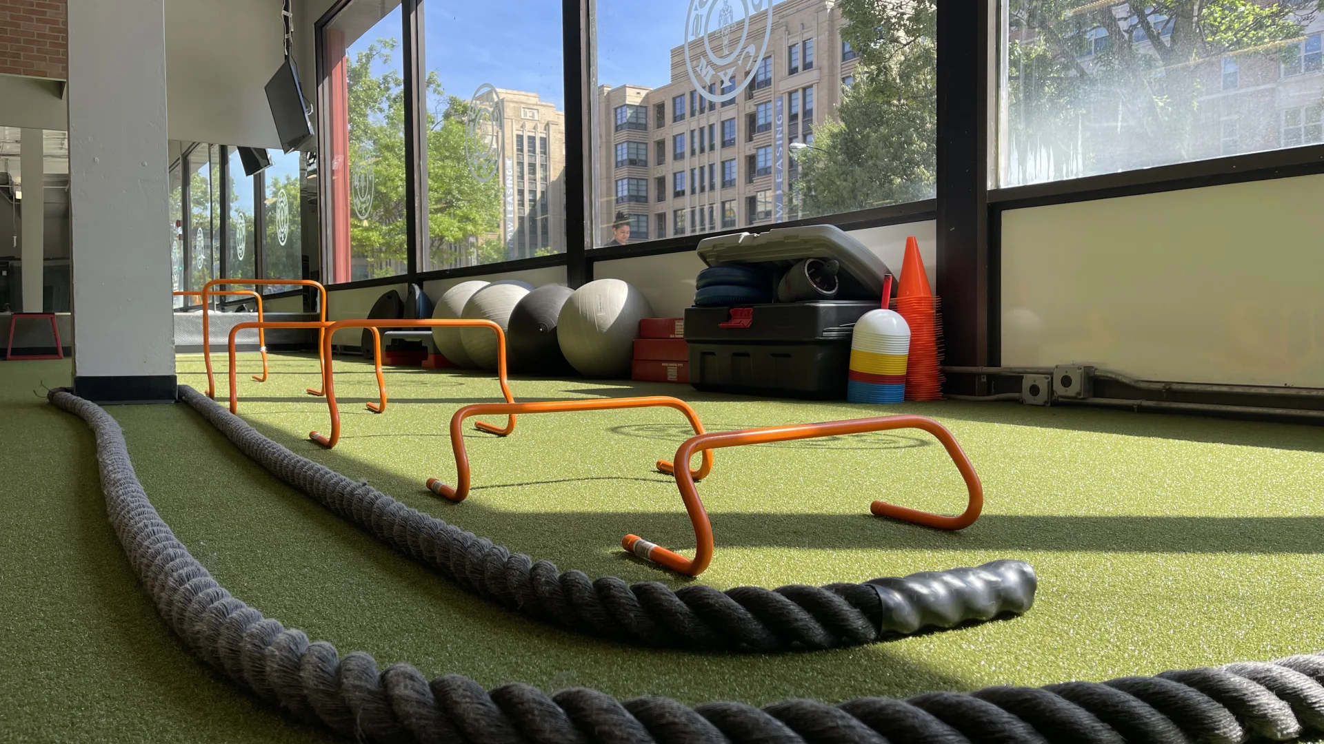 Functional Turf Area