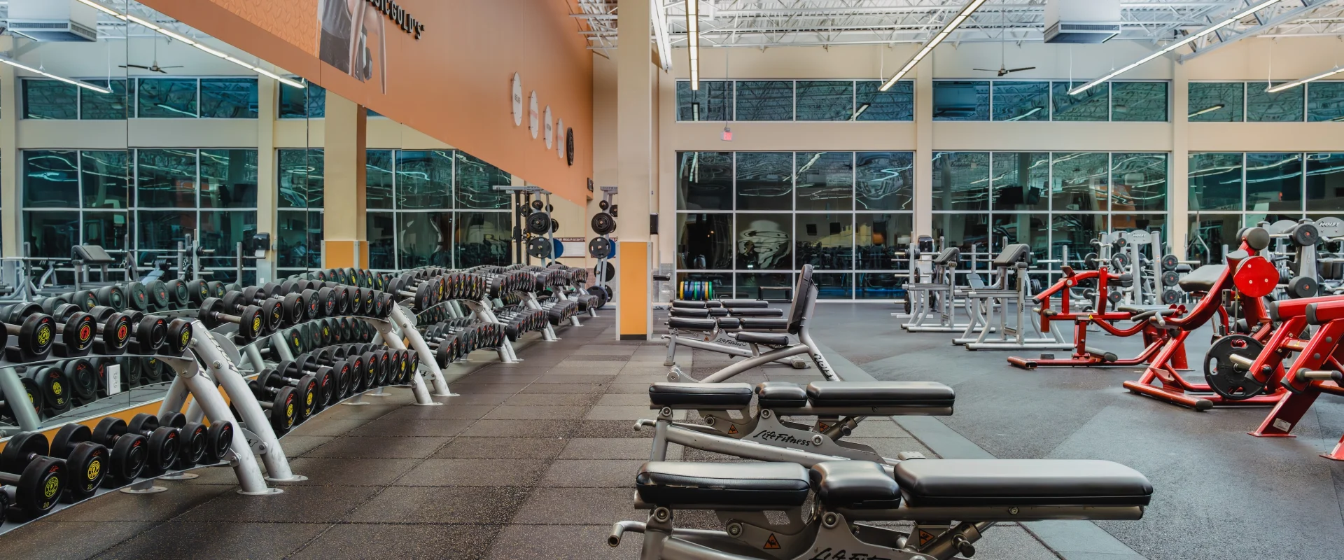 Spacious gym interior with rows of dumbbells, exercise benches, and red weight machines. Large windows let in bright natural light.