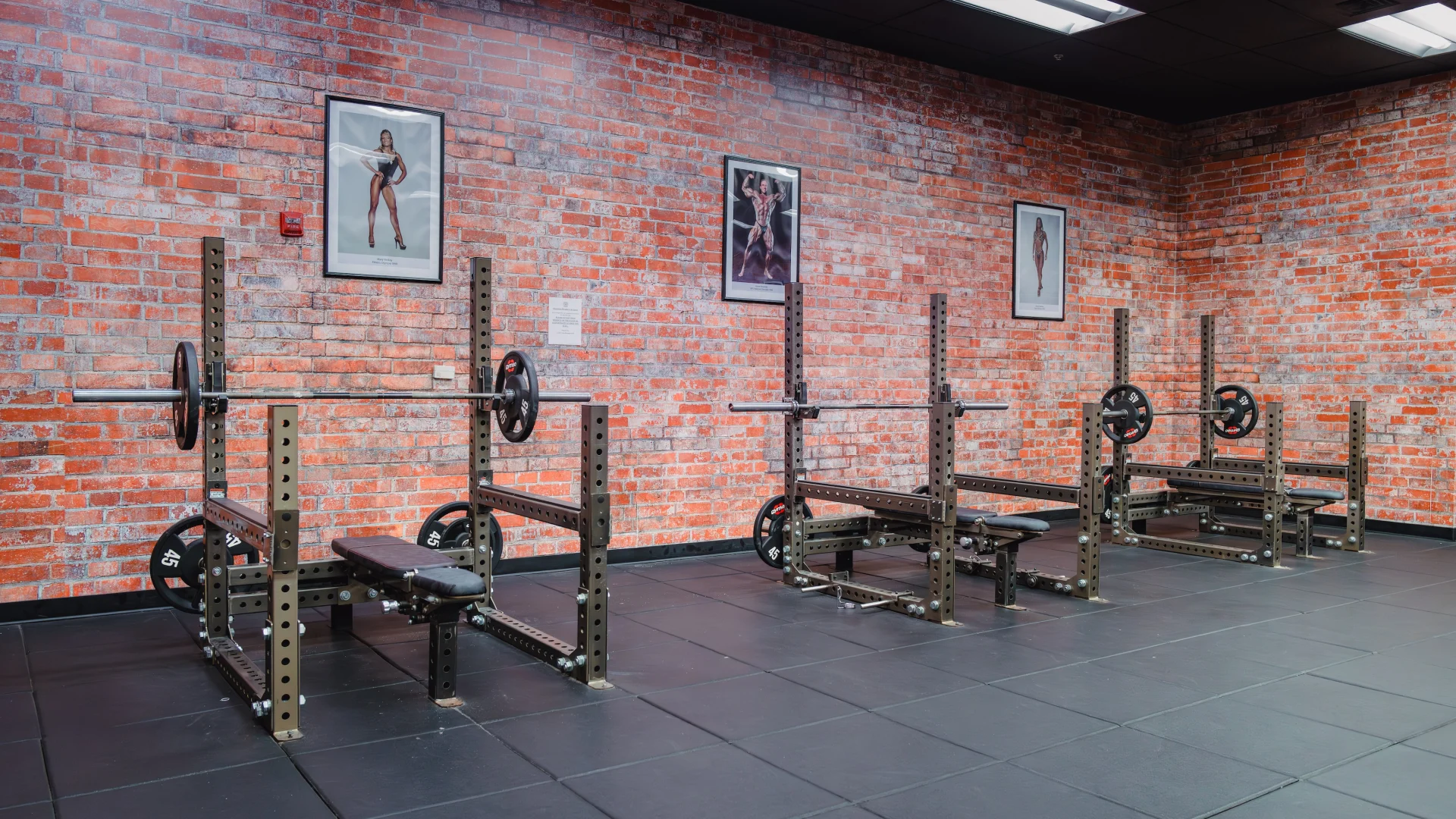 Row of bench press stations with barbells and weights along a brick wall in a gym.