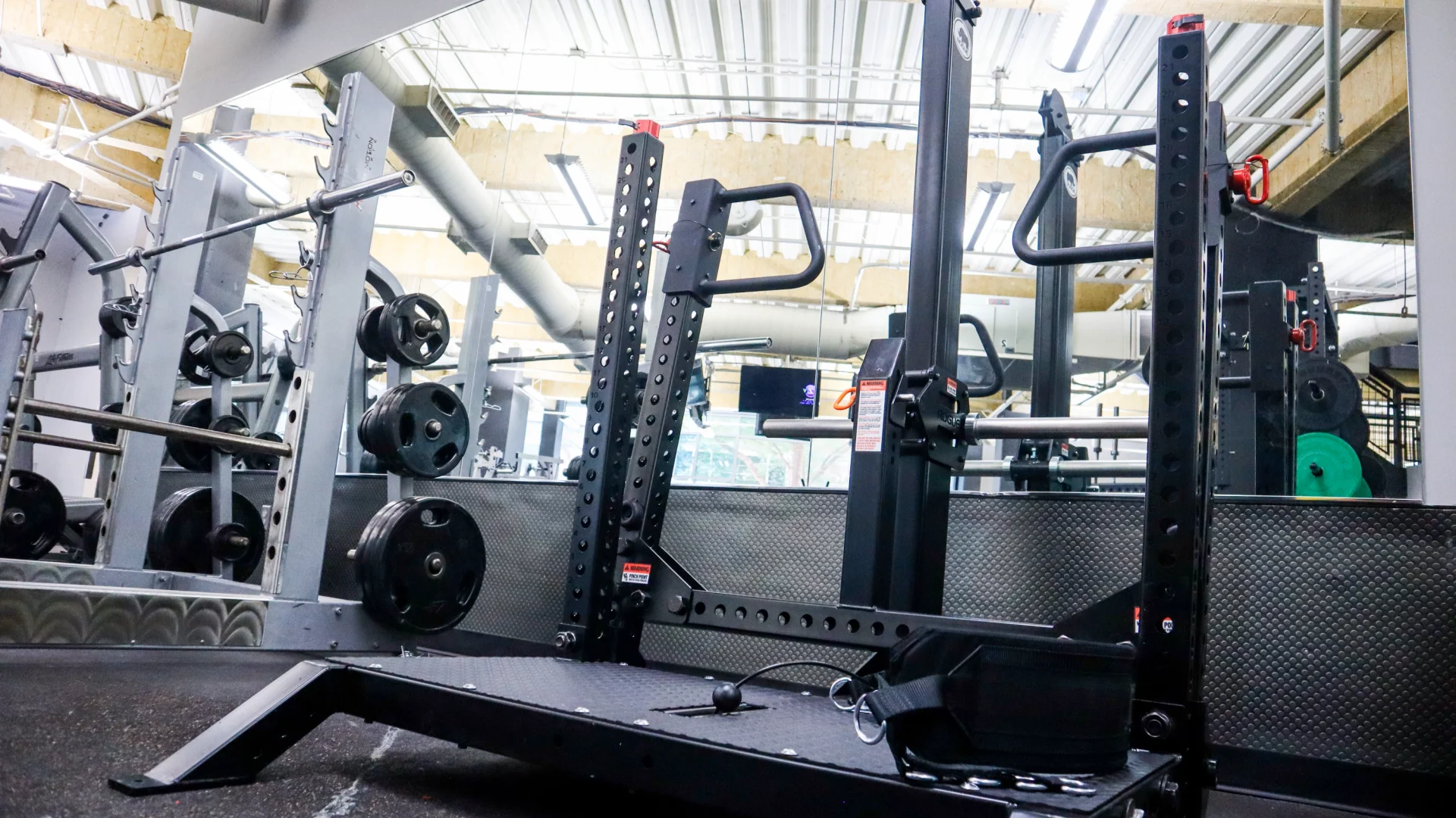 Rogue Belt Squat
