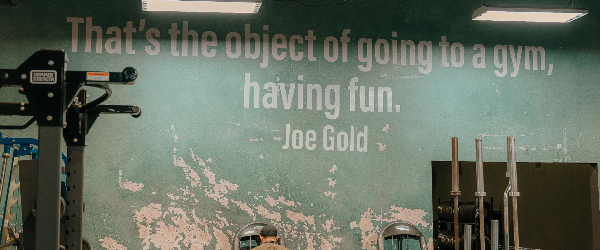 Machine weights area at Gold's Gym Hendersonville with the iconic Venice Wall, a distressed green surface featuring the quote, "That's the object of going to a gym, having fun" by Joe Gold.